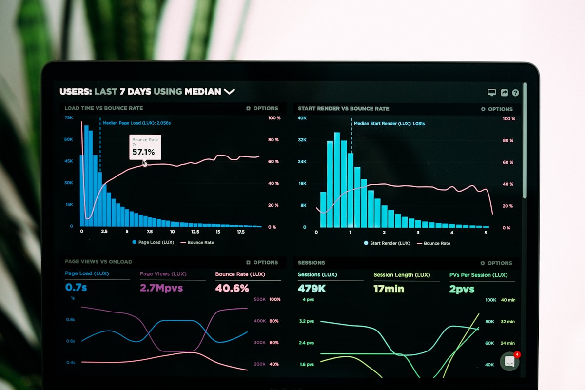 Client portal dashboard showing analytics and project management